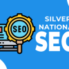 Silver National SEO Package