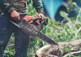 Local SEO For Tree Service