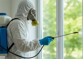 SEO for Pest Control